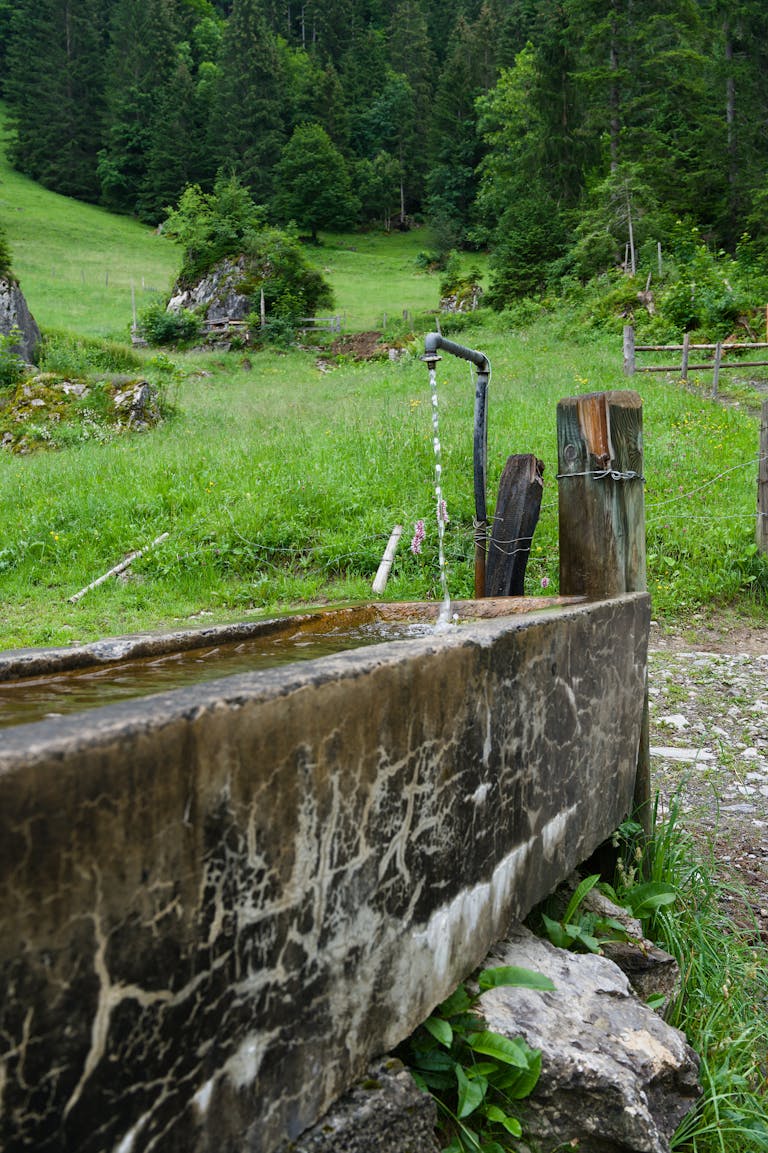 A rustic water trough with a flowing tap amidst a lush green Swiss alpine landscape.