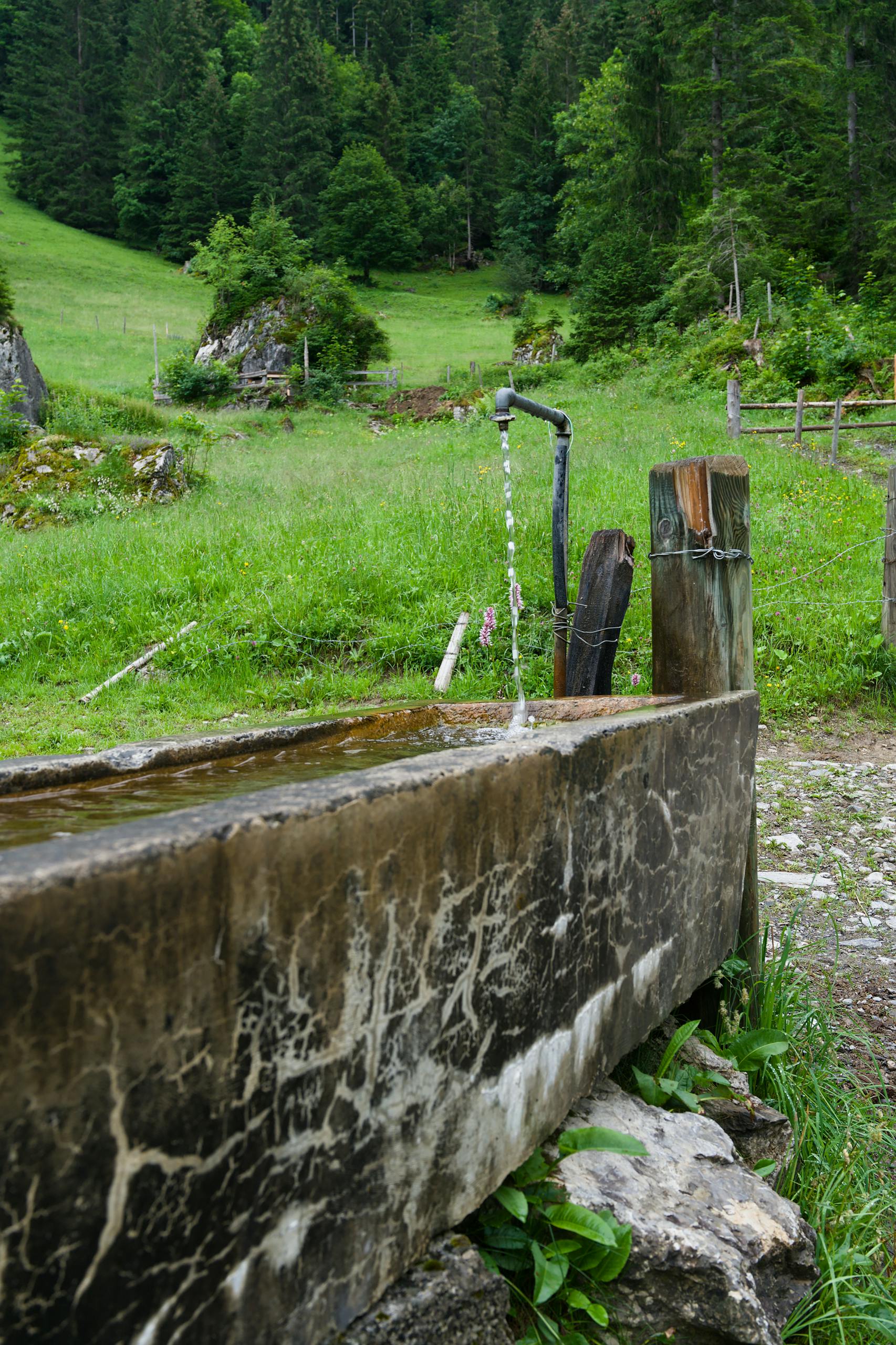 A rustic water trough with a flowing tap amidst a lush green Swiss alpine landscape.