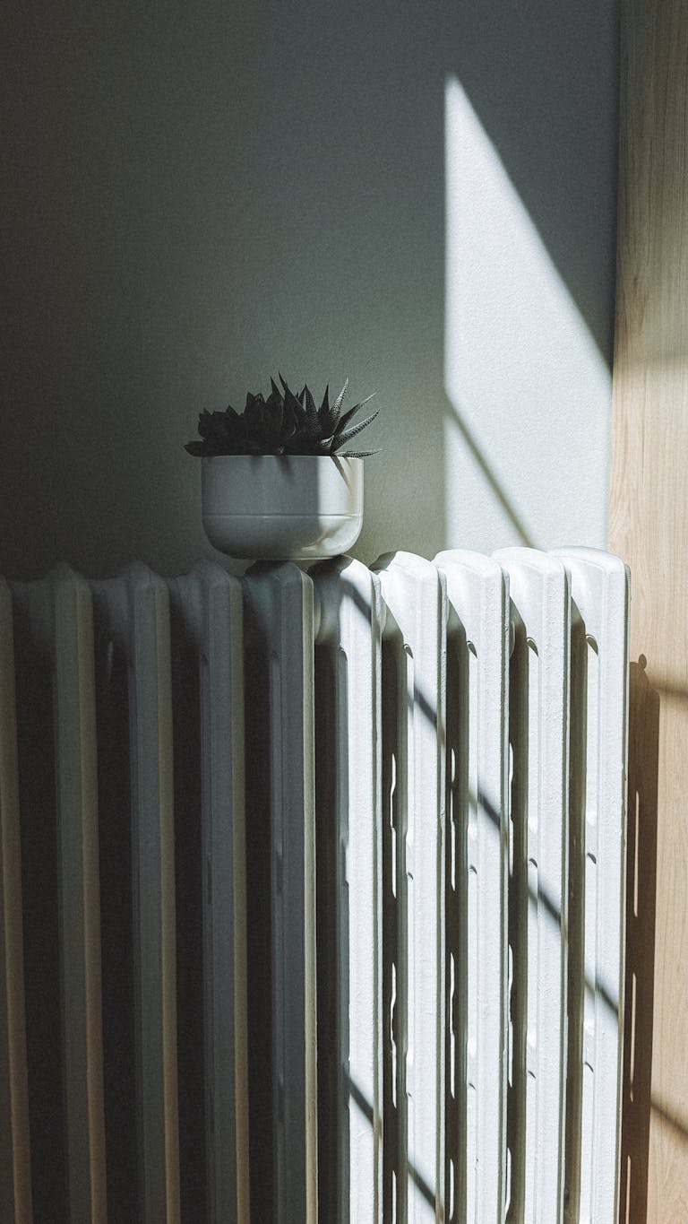 A succulent plant on a radiator with sunlight streaming through a window casting shadows.