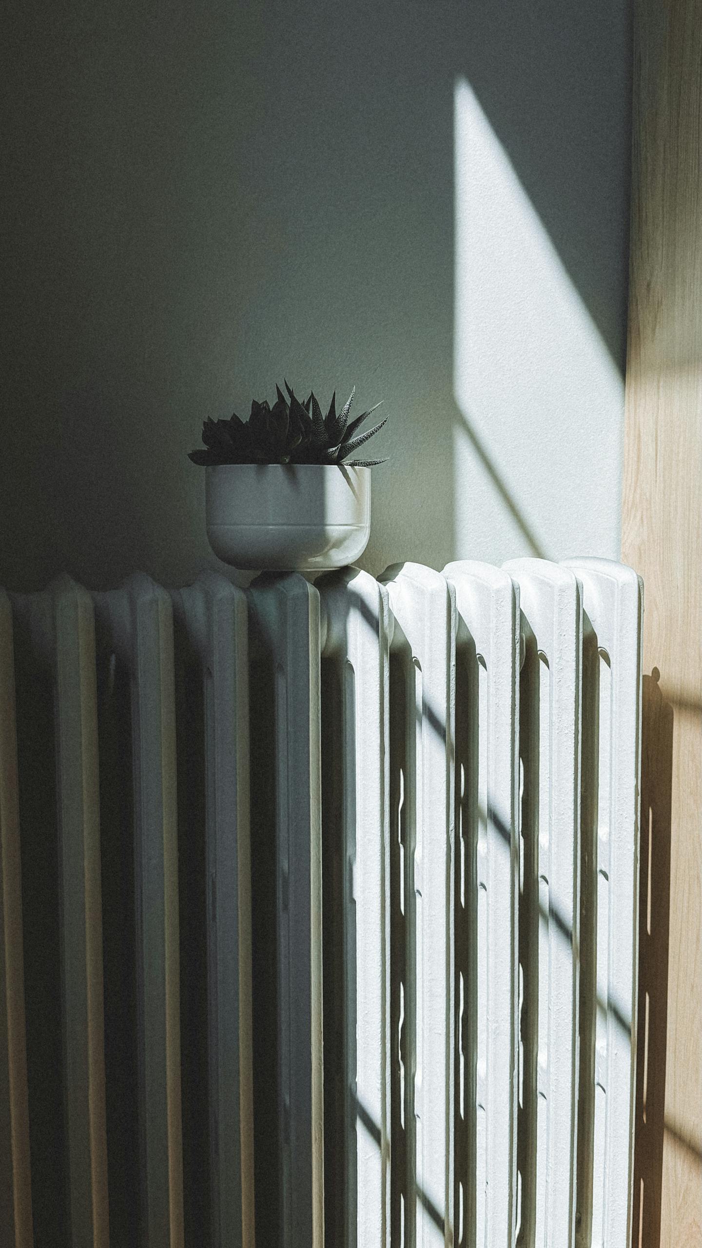 A succulent plant on a radiator with sunlight streaming through a window casting shadows.