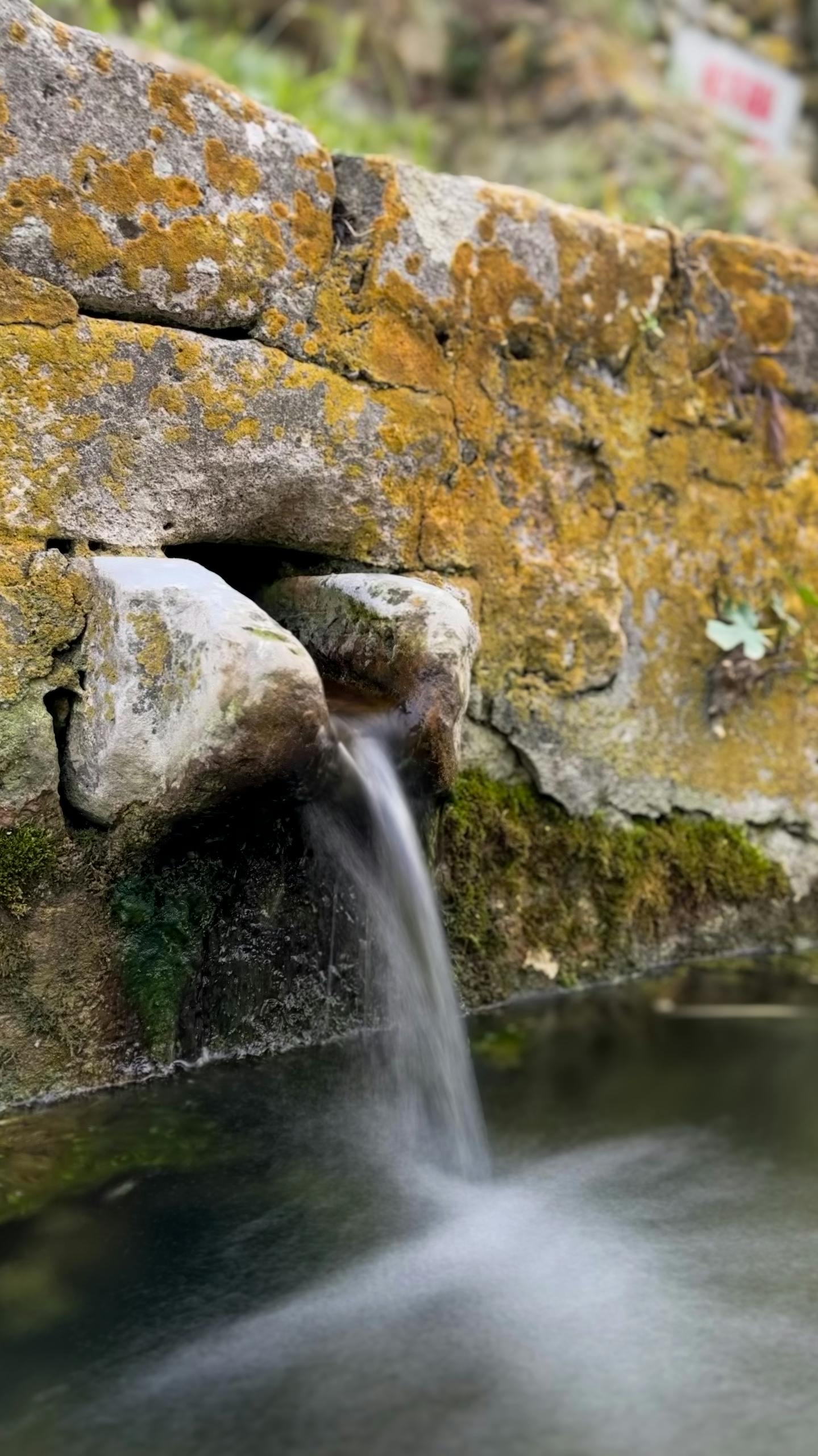 A weathered stone fountain with water flowing into a pool, surrounded by moss.