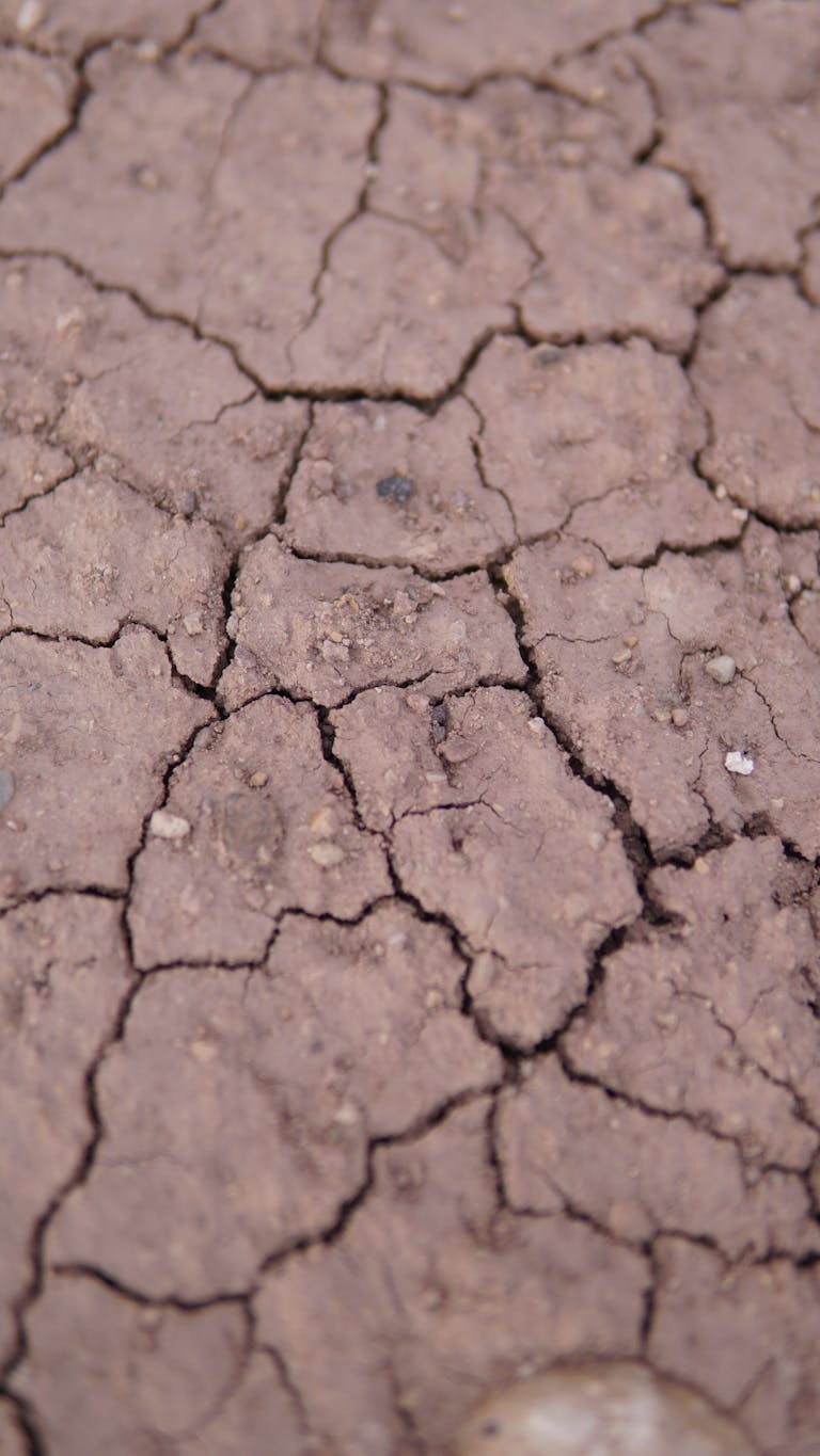 Detailed image showcasing cracks in dried soil, symbolizing drought and arid conditions.