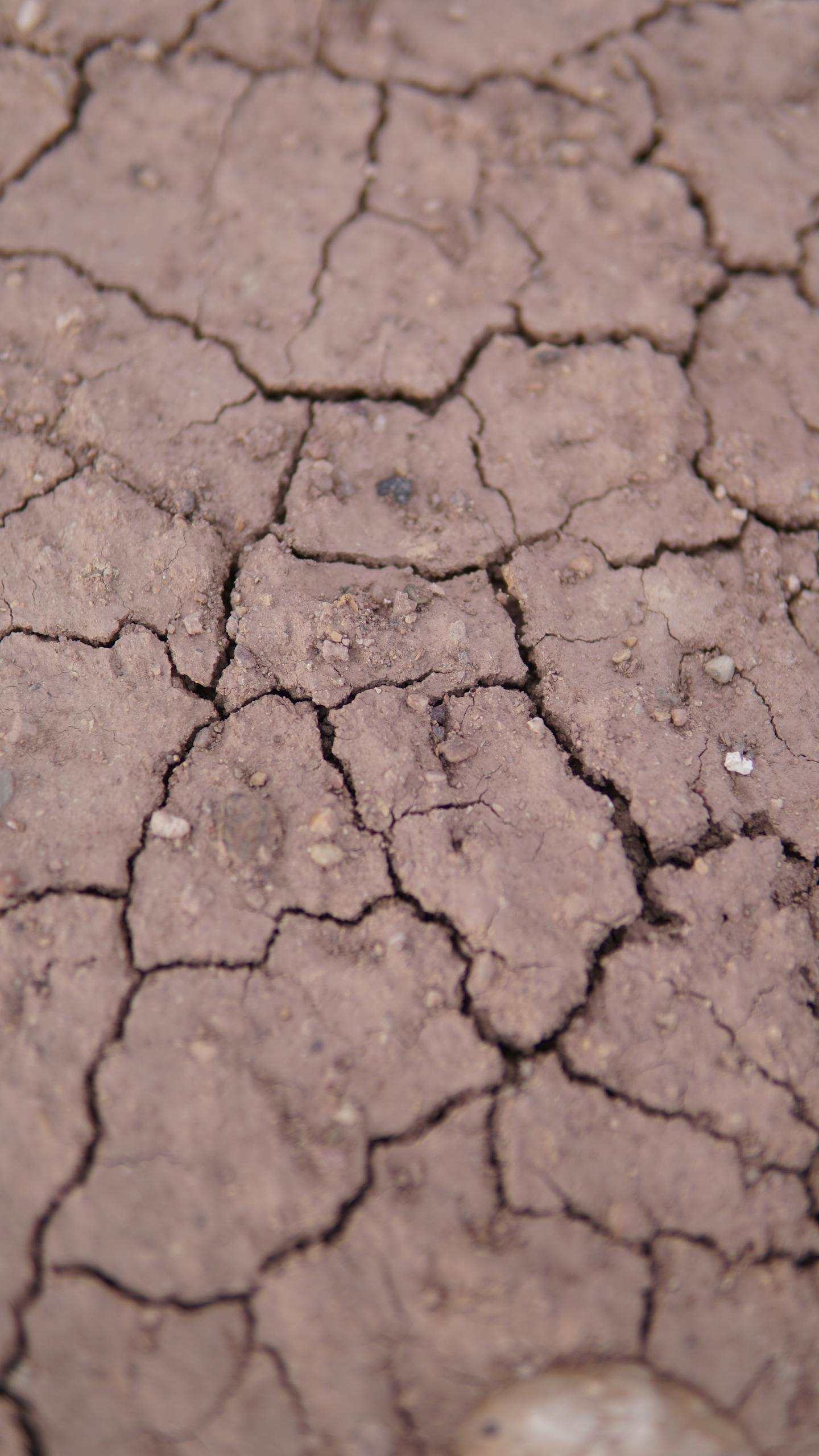 Detailed image showcasing cracks in dried soil, symbolizing drought and arid conditions.