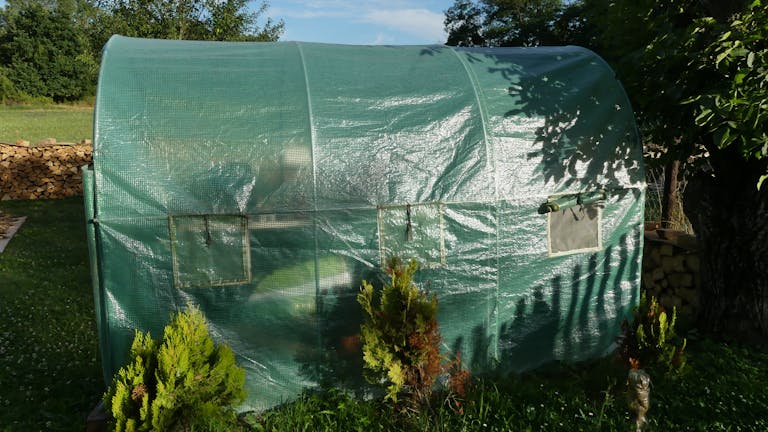 Sunny day view of a green greenhouse with arch design surrounded by lush plants.