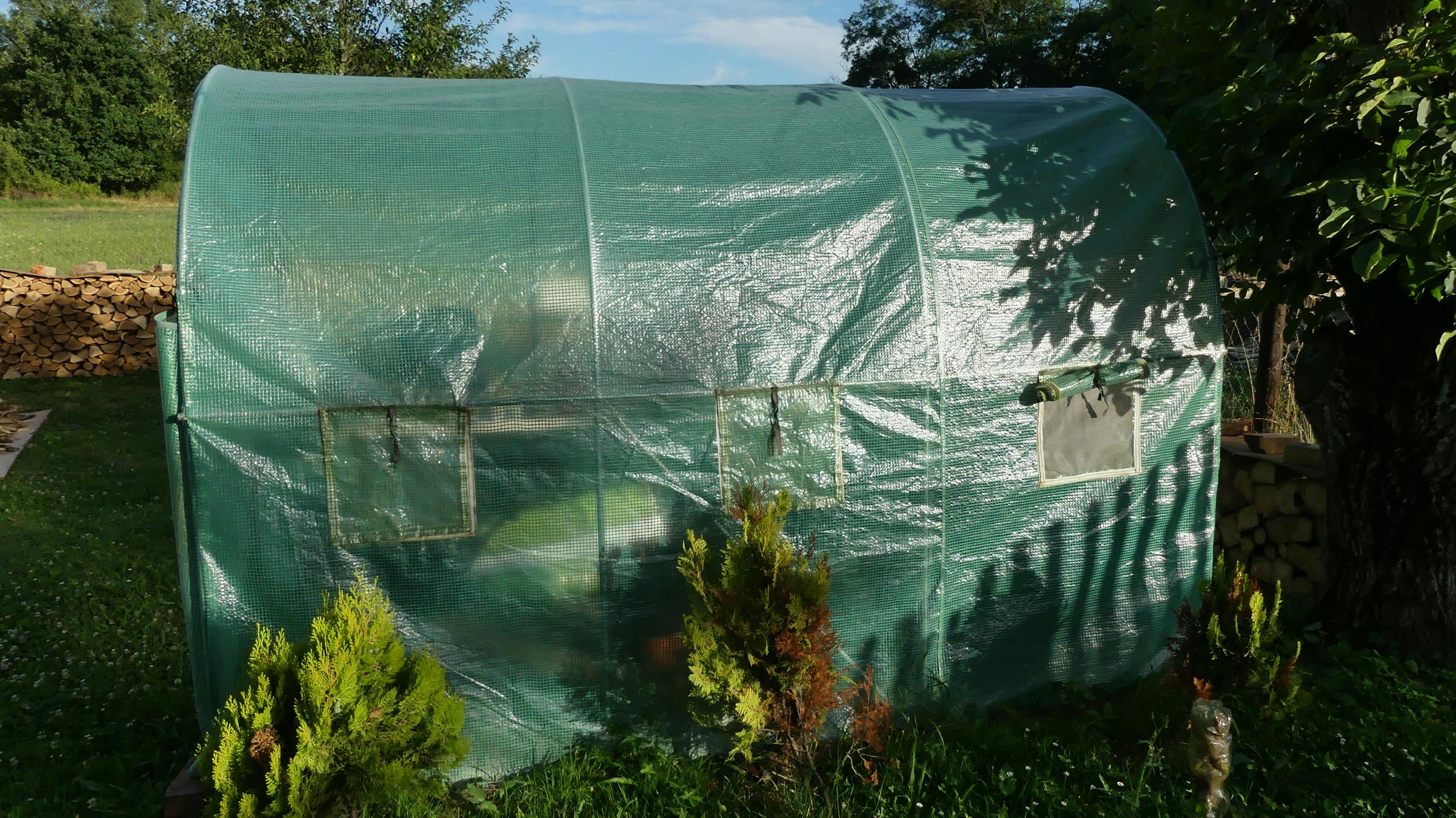 Sunny day view of a green greenhouse with arch design surrounded by lush plants.
