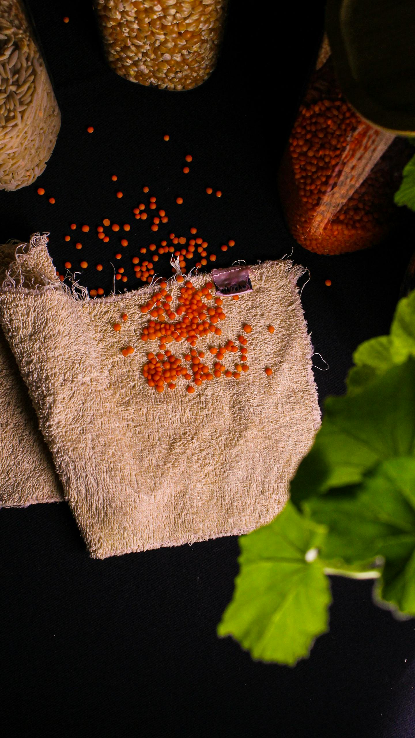 Top view of organic red lentils on a rustic cloth with green leaves.
