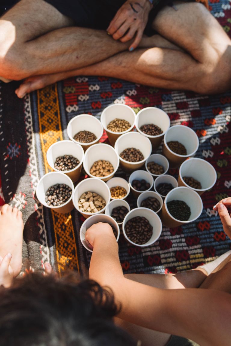 A variety of seeds displayed in cups on a patterned rug with people sitting around.