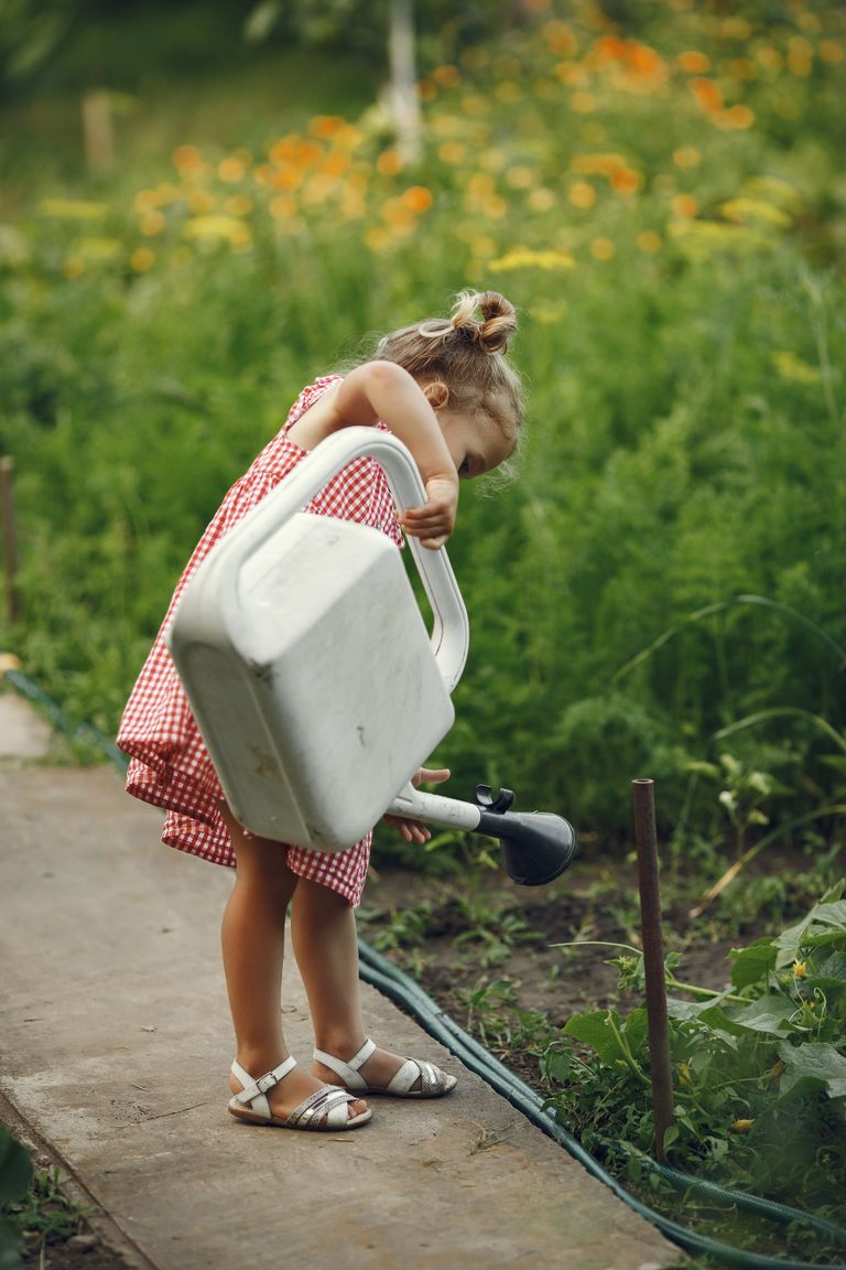 A young girl in a red dress waters plants in a lush summer garden with a large watering can.