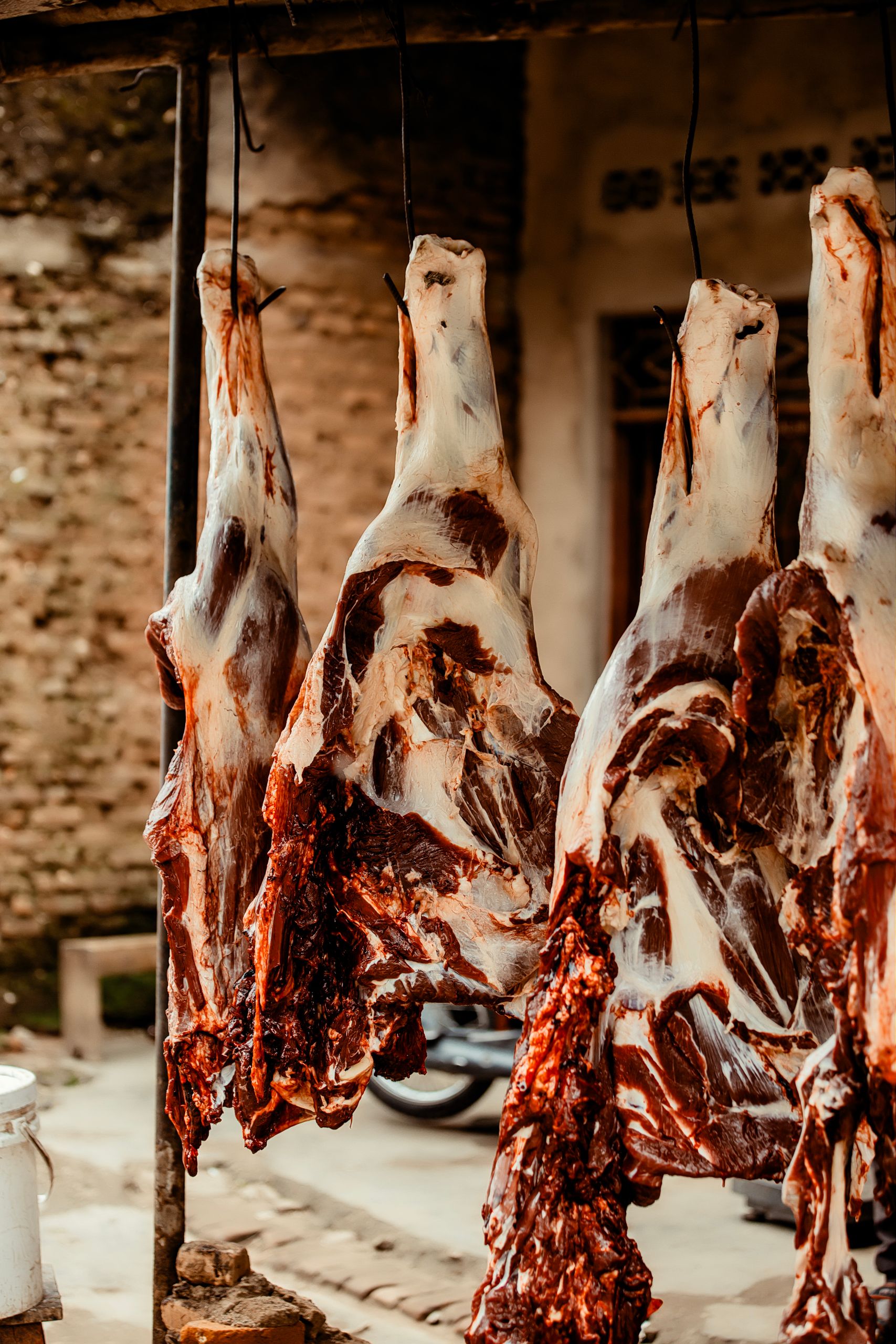 Close-up of butchered animal carcasses hanging in an outdoor market setting.