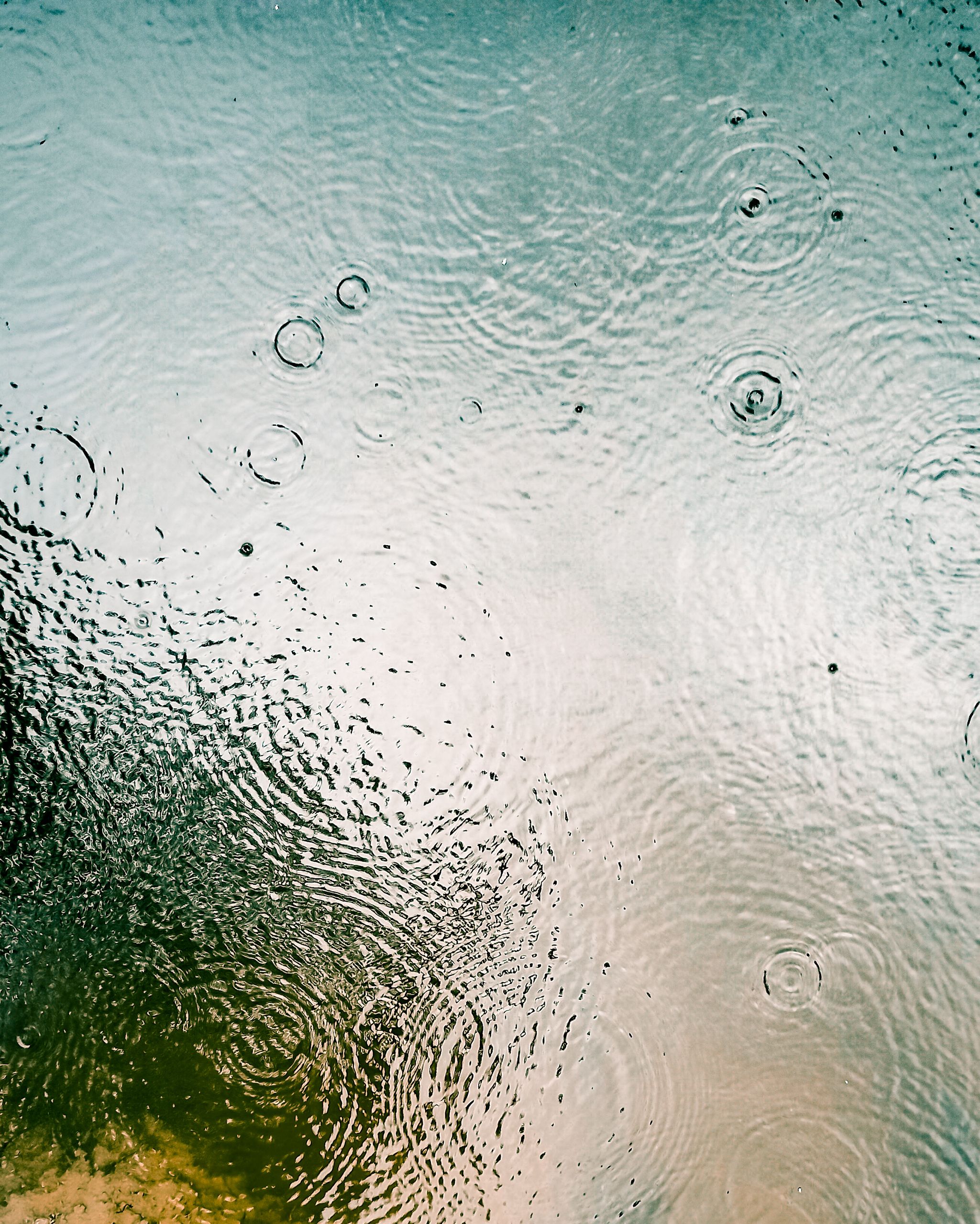 Elegant close-up of raindrops creating ripples on a tranquil water surface, capturing nature's subtle movements.