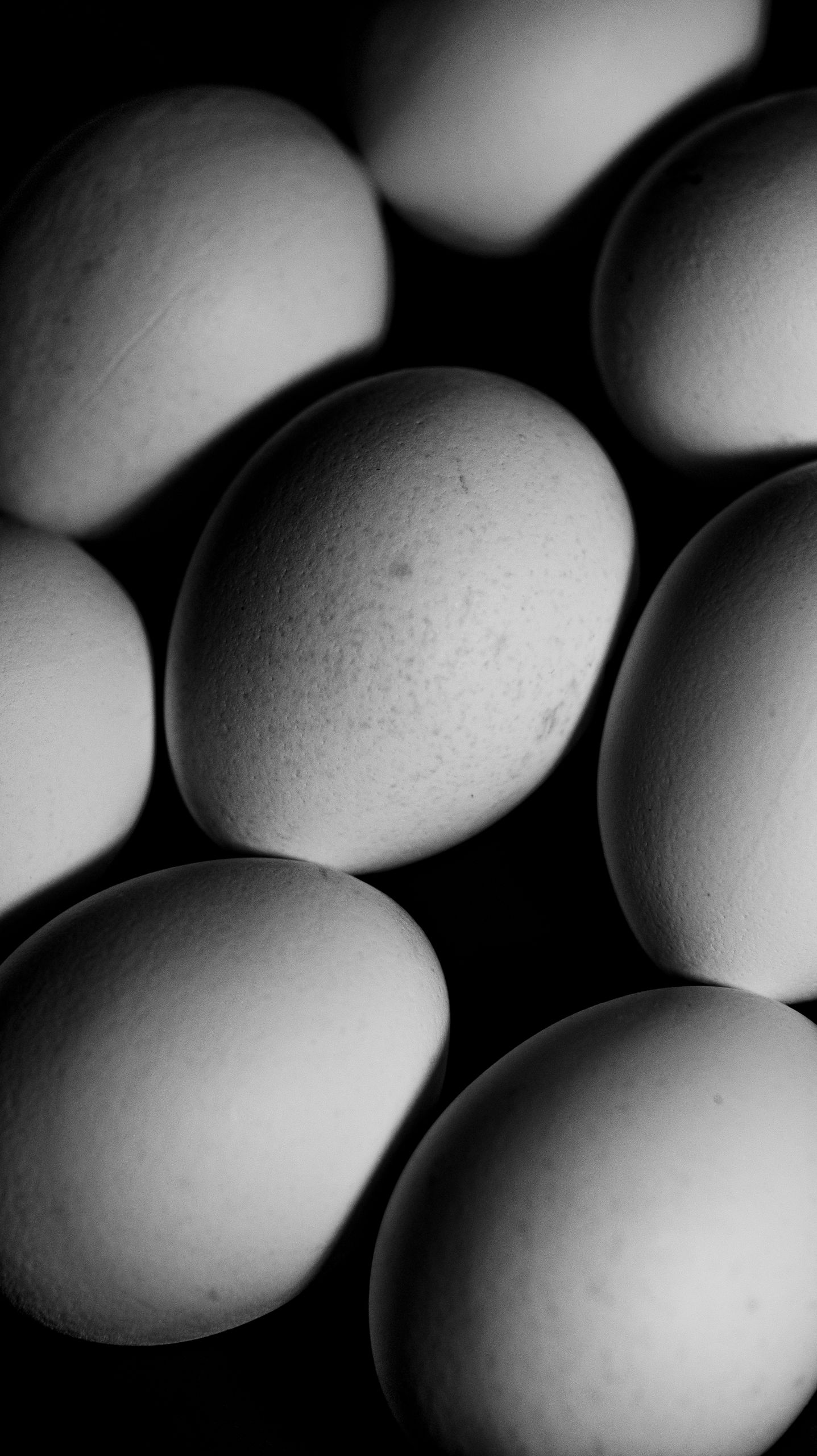 From above black and white of chicken eggs arranged together in neat rows in room with bright sunlight and shadow