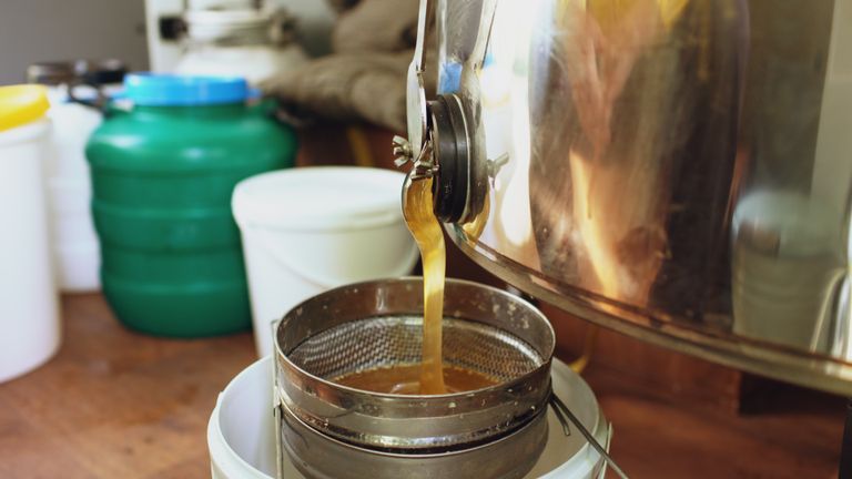 Honey flowing from a large stainless steel extractor into a filter in a beekeeping setup.