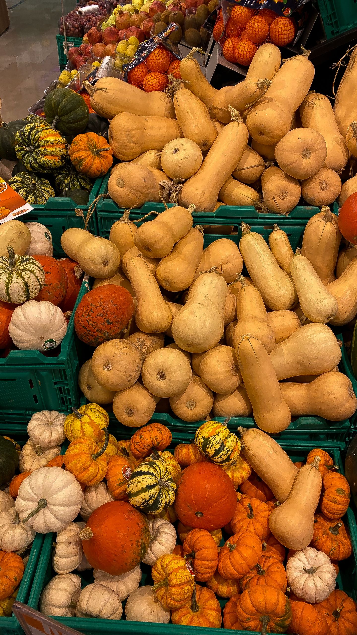 Vibrant display of assorted pumpkins and squash at a market, perfect for fall themes.